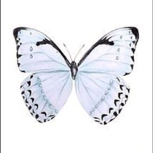 Meet your Posher, Meredith